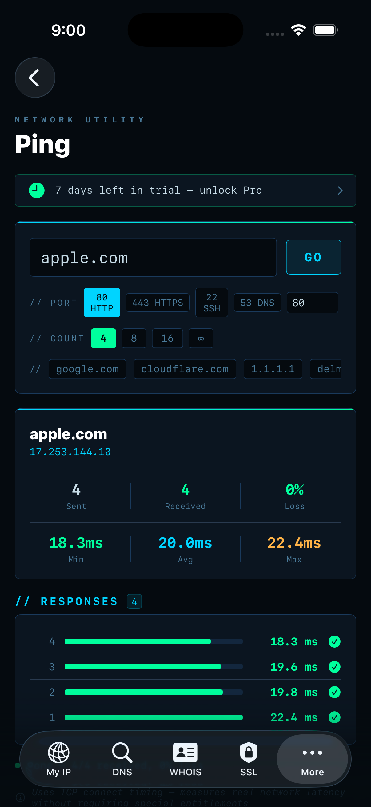 IPSuite Ping — apple.com 0% loss, 18ms min, 20ms avg